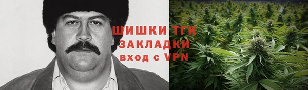экстази Гусев
