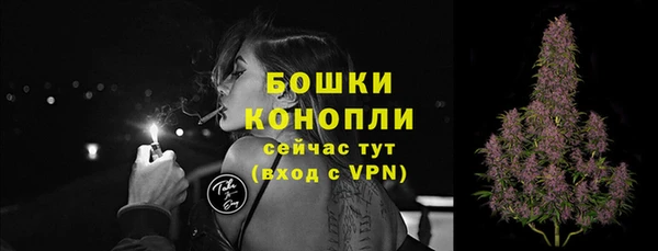экстази Гусев