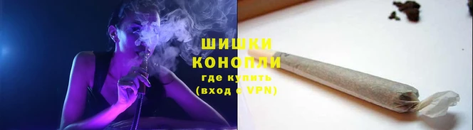 мяу мяу мука Гусиноозёрск
