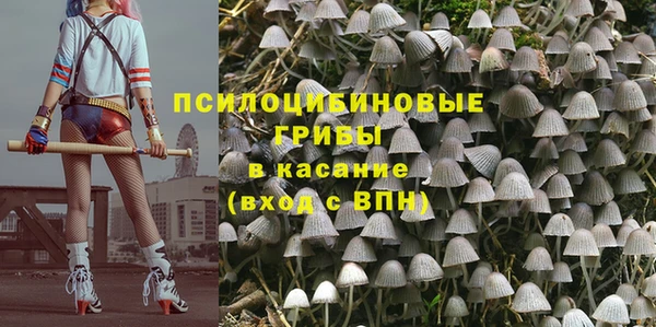 мяу мяу мука Гусиноозёрск
