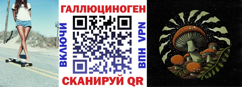 где продают Энгельс Галлюциногенные грибы MAGIC MUSHROOMS